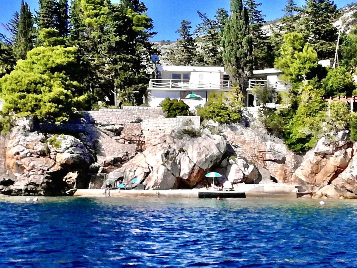 Beach House On The Cliff Zaton  Eksteriør billede
